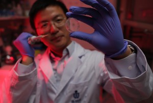 孙飞教授及其团队研发的全新蛋白水凝胶