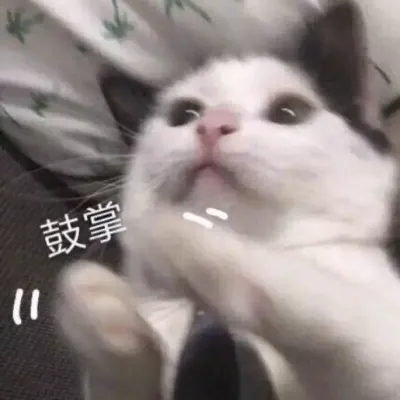 cd0fd3349be35a059f6ab8190c2c537.png